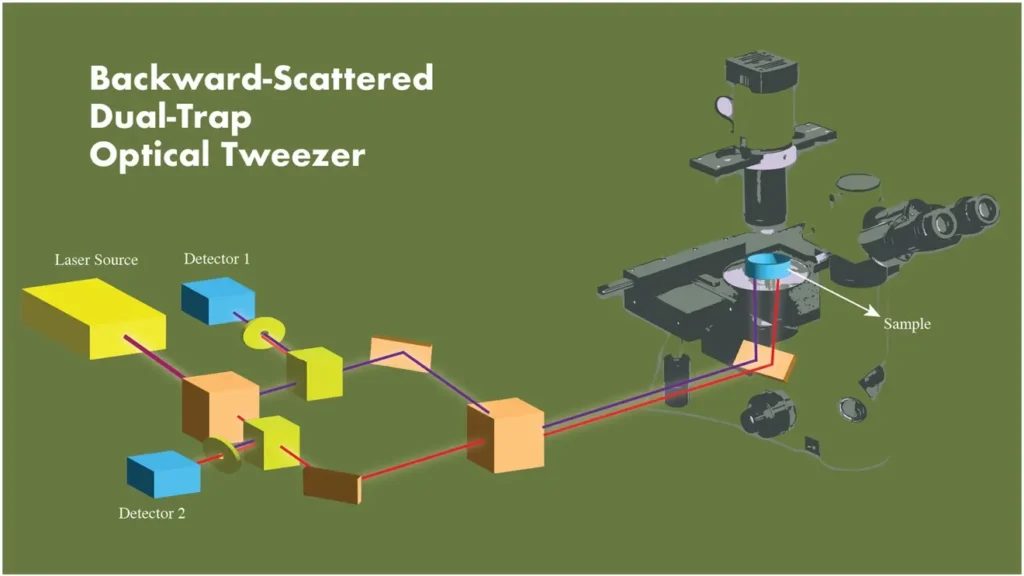 Dual Tap Optical Tweezer